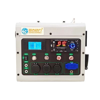 Generador de manivela manual de 1000 vatios Reproductor multimedia Banco de energía manual exterior Dinamo luz de emergencia